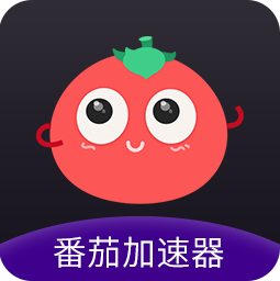 在国外怎么使用国内ip